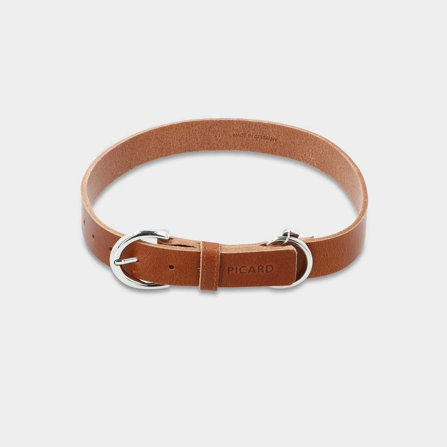 Small Leather Goods PICARD Pet Accessories | Dog Collar Dog Collar Strolch Size L R130