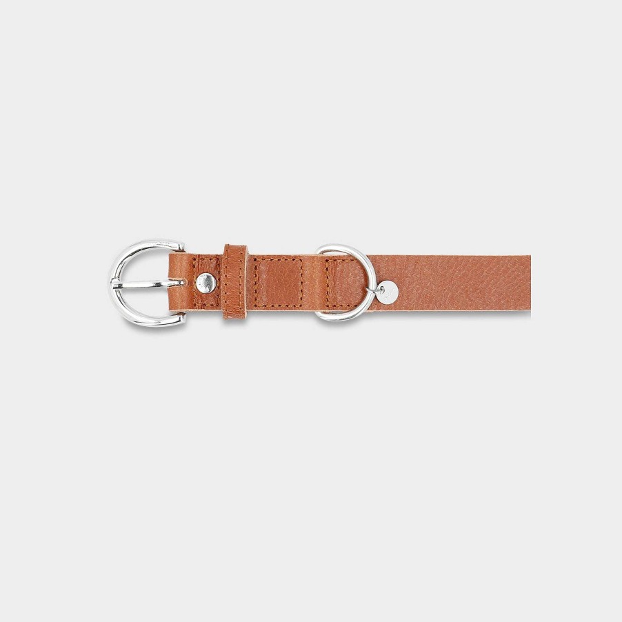 Small Leather Goods PICARD Pet Accessories | Dog Collar Dog Collar Tramp Size S R128