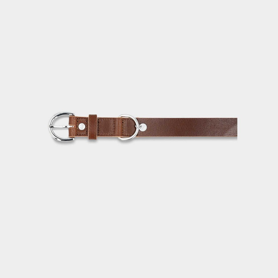 Small Leather Goods PICARD Pet Accessories | Dog Collar Dog Collar Tramp Size S R128