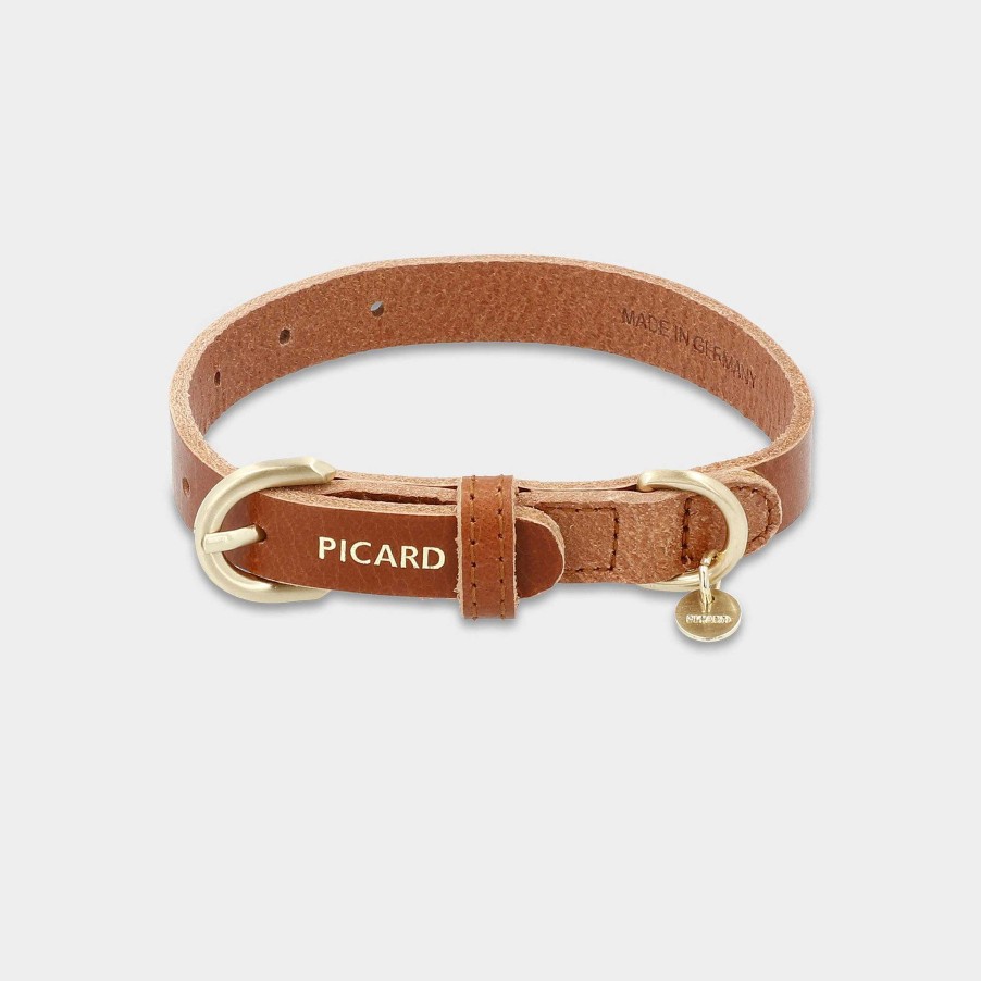 Small Leather Goods PICARD Pet Accessories | Dog Collar Dog Collar Susi Grose Xs R124