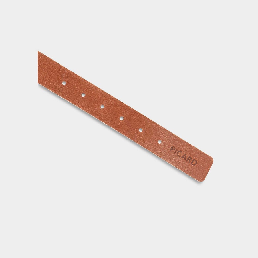 Small Leather Goods PICARD Pet Accessories | Dog Collar Dog Collar Tramp Size S R128